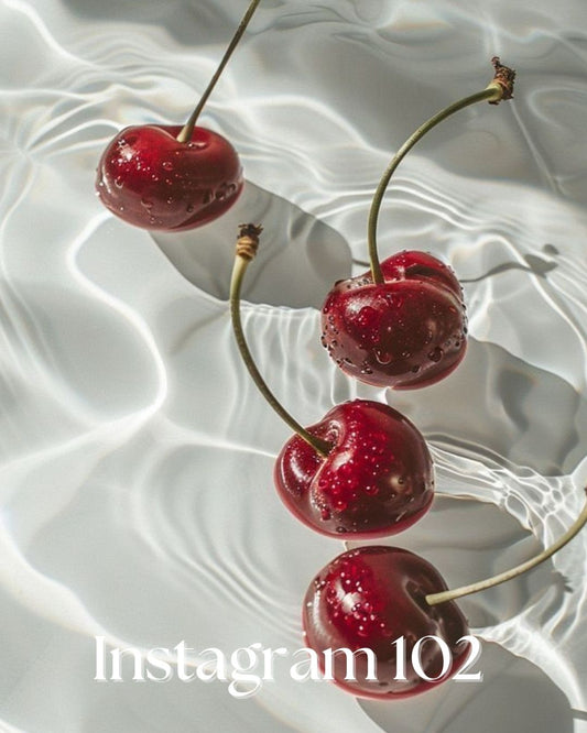 Instagram 102 - Grow Your Following & Triple Sales