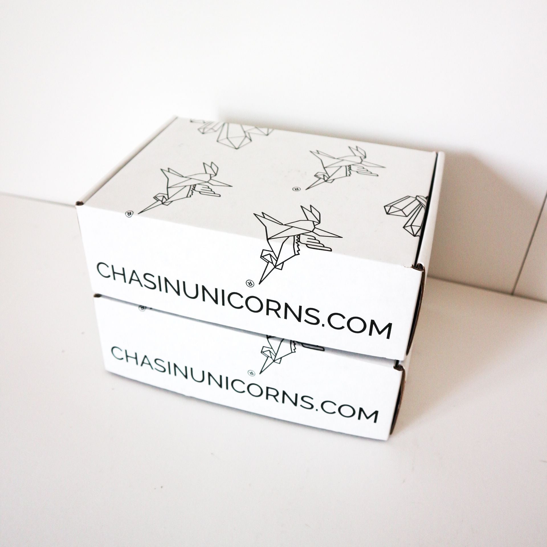 Chasin' Unicorns logo