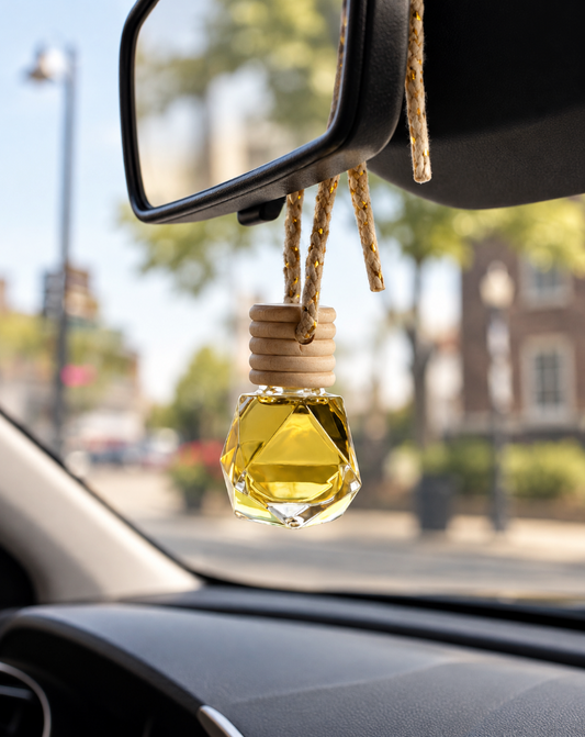 Car Diffuser - Autumn Fig