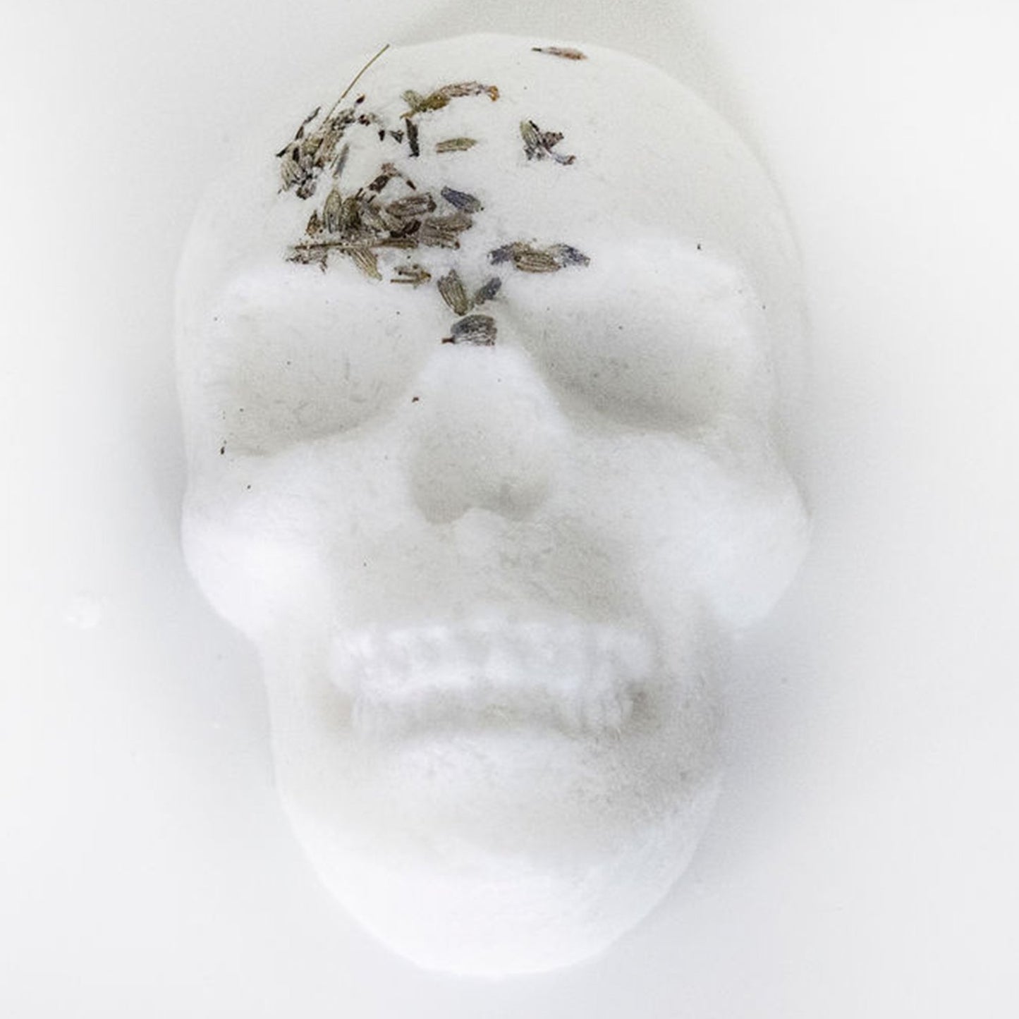 Unicorn Tranquilizer - Chasin' Unicorns