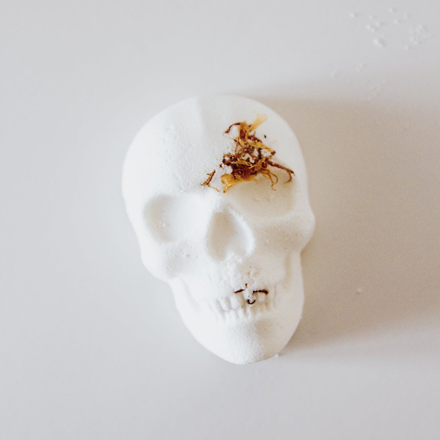 Synergy Bomb - Chasin' Unicorns