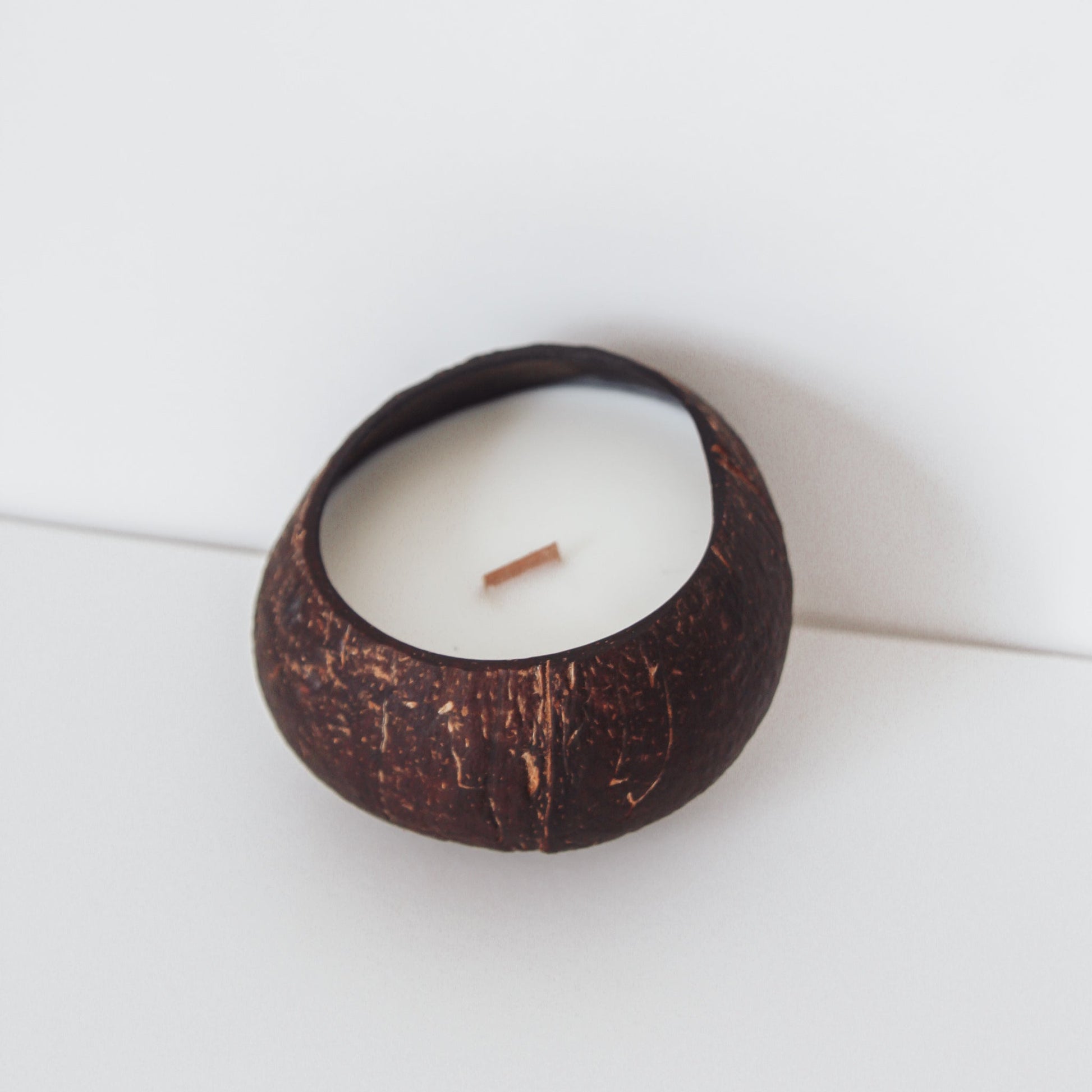 Vanilla Coconut Shell Candle - Chasin' Unicorns